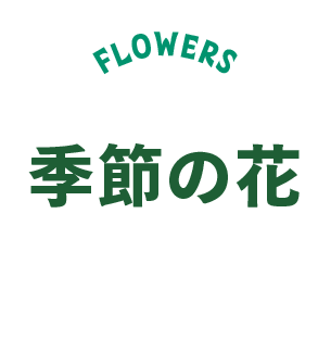 お花鑑賞