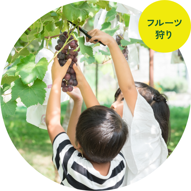 フルーツ狩り