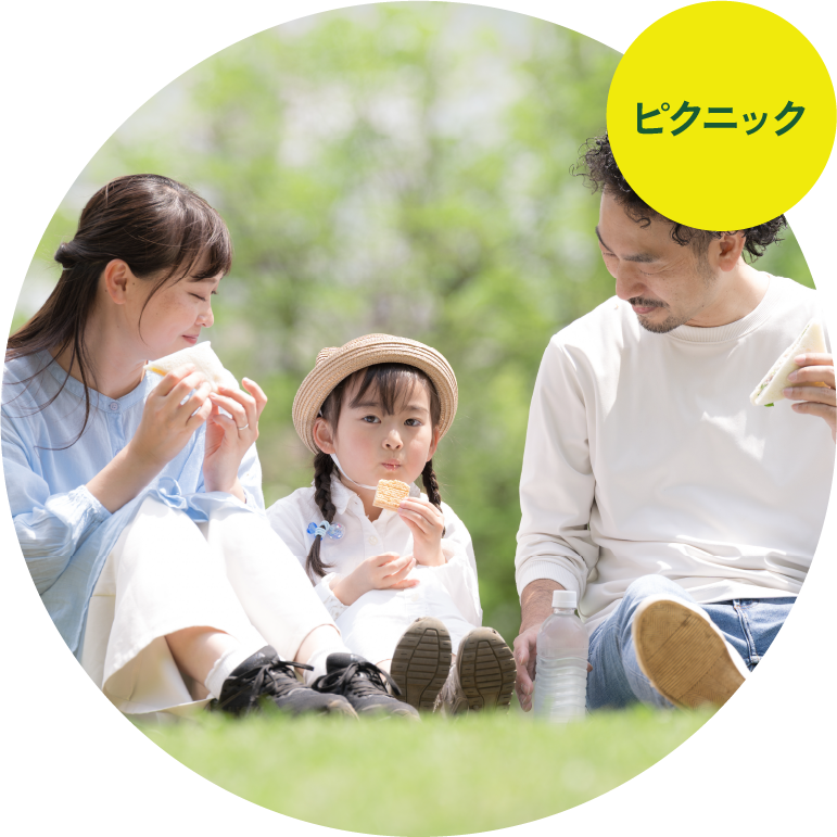 ピクニック